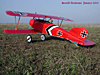 Albatros DIII 36"