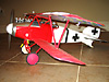 Albatros DIII 36" Quang Ngo