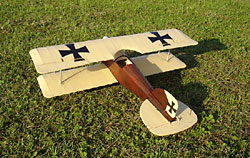 Albatros DII  24"