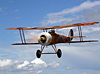 Nieuport 28  36"   Gary Ritchie