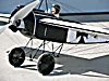 Pfalz E1 36" 