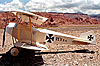 Rex Scout 36"